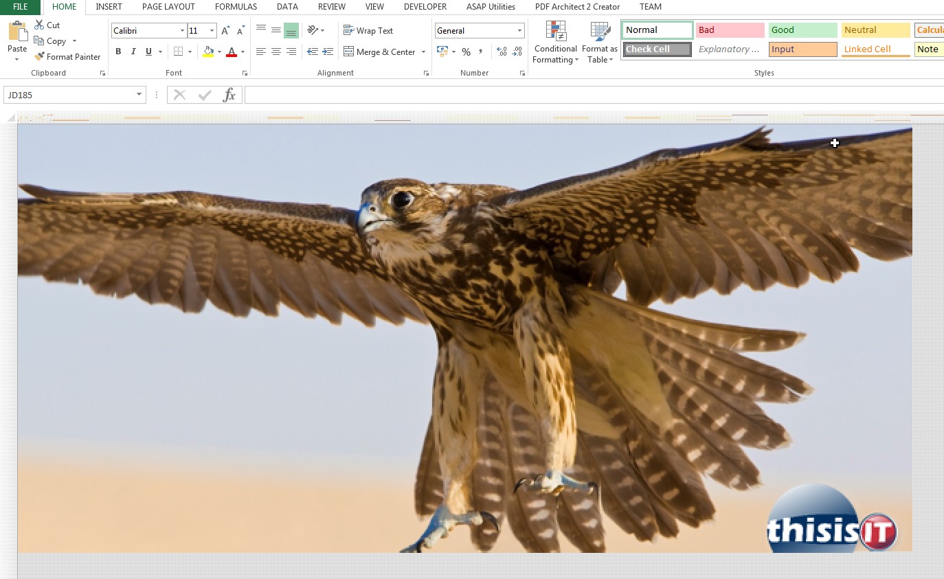 falcon painted in Excel